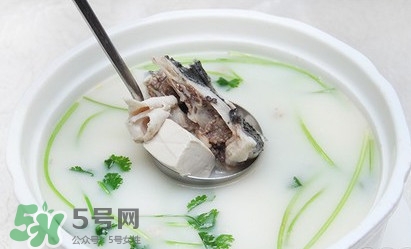 生魚(yú)怎么做好吃？生魚(yú)湯的做法和功效