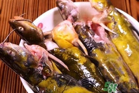 嘎魚(yú)是鯰魚(yú)嗎？嘎魚(yú)是黃辣丁嗎