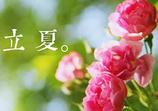 立夏開(kāi)什么花？立夏有什么花？