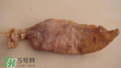 黃唇魚(yú)魚(yú)鰾是什么？魚(yú)鰾是魚(yú)的哪個(gè)部位