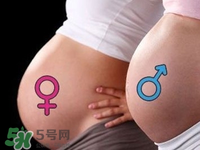 B超單數(shù)據(jù)怎么看男女？B超單看男女準(zhǔn)嗎？