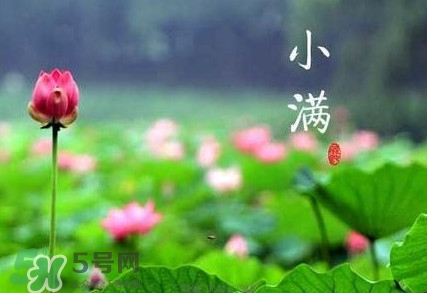 2017小滿是幾月幾日？小滿節(jié)氣養(yǎng)生