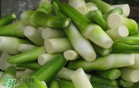 茭白是什么菜？茭白是什么植物