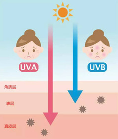 安耐曬好用嗎？安耐曬怎么樣？