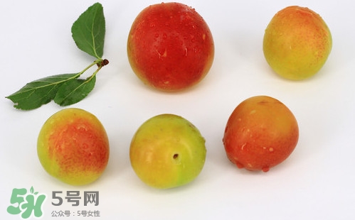 雙華李有什么營養(yǎng)？雙華李的營養(yǎng)價值