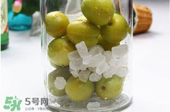 青杏酒怎么做？青杏酒的功效與作用