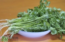 香菜是寒性食物嗎？香菜是熱性還是涼性？