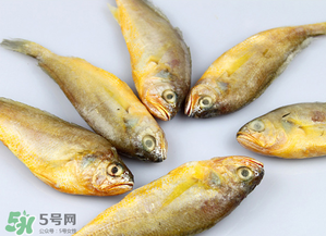 小黃魚不能和什么一起吃？小黃魚和什么相克？