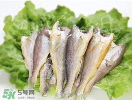 小黃魚(yú)可以養(yǎng)殖嗎？小黃魚(yú)能人工養(yǎng)殖嗎？