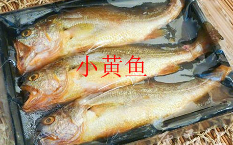 黃花魚和黃魚有什么區(qū)別 黃花魚和小黃魚是一種魚嗎