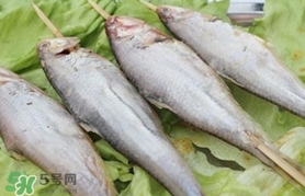 馬口魚(yú)怎么釣？馬口魚(yú)什么時(shí)候釣最好