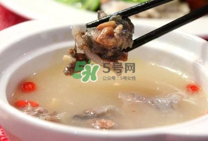 甲魚(yú)湯怎么做？甲魚(yú)湯的做法