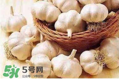 新蒜頭怎么保存不發(fā)芽？新蒜頭怎么存放