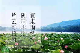 夏至是入伏嗎？夏至后多久入伏？