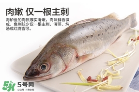 鱸魚是海鮮嗎？鱸魚是不是海鮮？