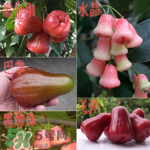 蓮霧什么季節(jié)吃最好？什么品種的蓮霧最好吃