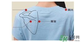 三伏貼貼在什么位置？三伏貼貼哪里？