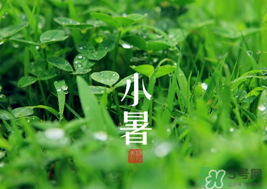 小暑種什么菜？小暑為什么要種牽?；ǎ?></p><p>番茄</p><p>如大番茄，櫻桃番茄。</p><p>黃圣果</p><p>在7月中至8月上旬用營(yíng)養(yǎng)土播種育苗。播后加蓋遮陽(yáng)網(wǎng)。</p><p>茄子</p><p>7月上中旬及時(shí)定植。</p><p>辣椒</p><p>辣椒于上中旬.在7月中旬至8月上旬用營(yíng)養(yǎng)土播種、遮陽(yáng)網(wǎng)覆蓋育苗。</p><p style=