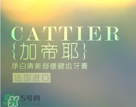 cattier加帝耶是什么牌子？法國cattier什么檔次？