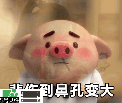 豬小屁多少錢(qián)一個(gè)？豬小屁哪里可以買(mǎi)到