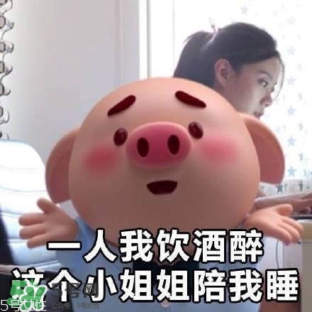 豬小屁多少錢(qián)一個(gè)？豬小屁哪里可以買(mǎi)到