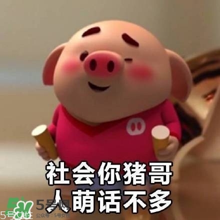 豬小屁多少錢(qián)一個(gè)？豬小屁哪里可以買(mǎi)到