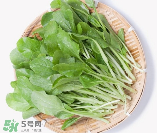 雞毛菜有什么營養(yǎng)價值？雞毛菜的功效與作用