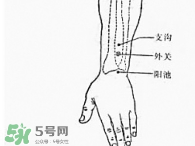 三伏貼能治過敏性鼻炎嗎？三伏貼治過敏性鼻炎貼哪里？