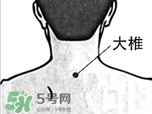 三伏貼能治過敏性鼻炎嗎？三伏貼治過敏性鼻炎貼哪里？