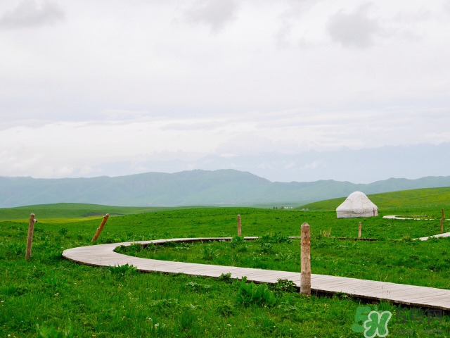 去新疆旅游攻略 去新疆旅游推薦路線