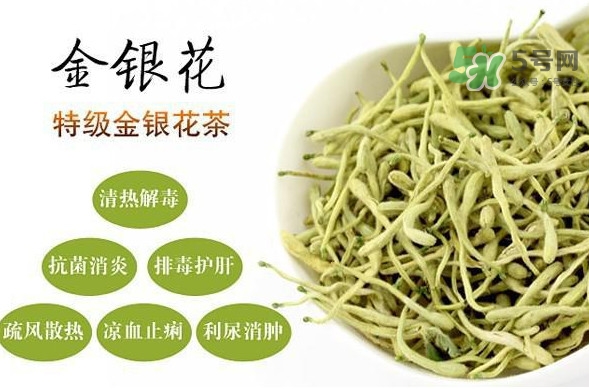 金銀花茶是去火的嗎？金銀花茶有什么功效與作用