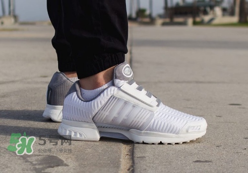 adidas climacool los angeles洛杉磯別注款怎么買_在哪買？