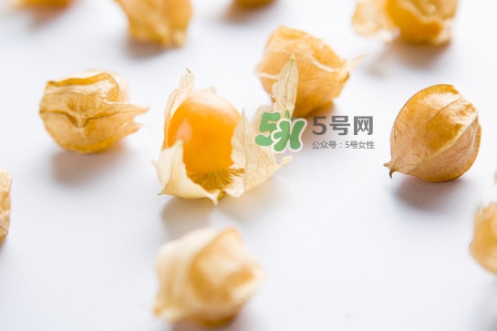 菇娘是寒性還是熱性？菇娘是哪里產(chǎn)的