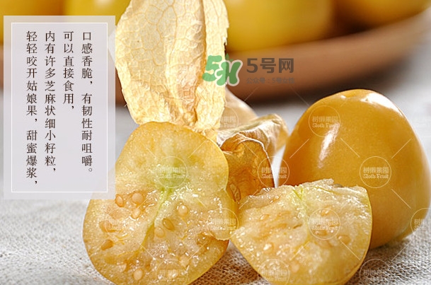 菇娘是寒性還是熱性？菇娘是哪里產(chǎn)的