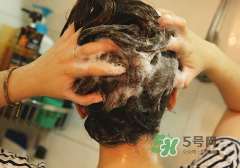 hair recipe水果洗發(fā)水怎么樣？hair recipe洗發(fā)水哪款好用