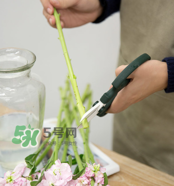 鮮花怎么保存時(shí)間長(zhǎng) 鮮花怎么保鮮