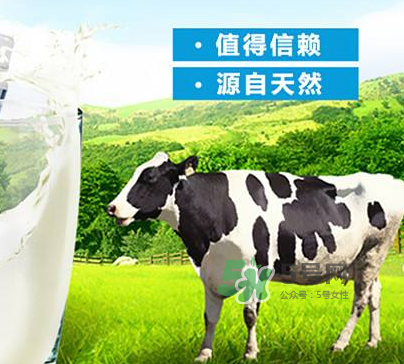 牛初乳是奶粉嗎？牛初乳跟奶粉的區(qū)別