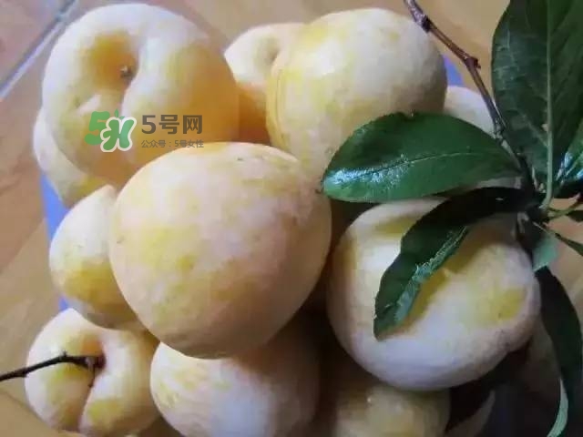 黃金奈李的營養(yǎng)價值 黃金奈李的功效