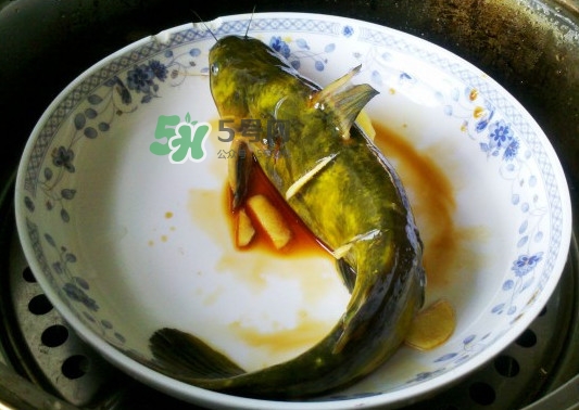 黃刺魚(yú)死了能吃嗎？黃刺魚(yú)不能與什么同食