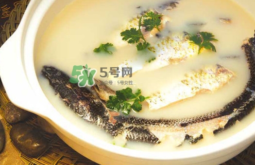 黃蜂魚怎么煮好吃？黃蜂魚燉湯孕婦可以喝嗎