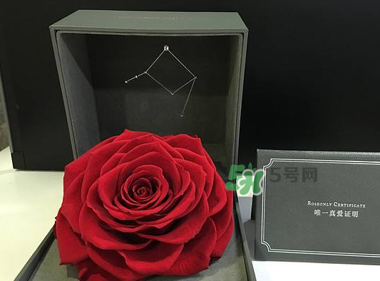 roseonly永生花可以保存多久？roseonly永生花保養(yǎng)