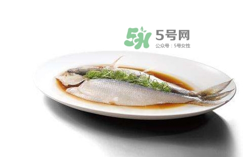 鰣魚刺多嗎？鰣魚可以養(yǎng)殖嗎