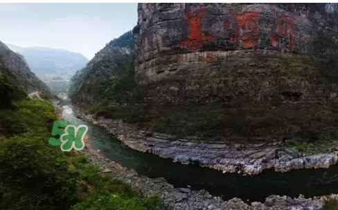 茅臺(tái)酒為什么那么貴？茅臺(tái)酒為什么這么貴