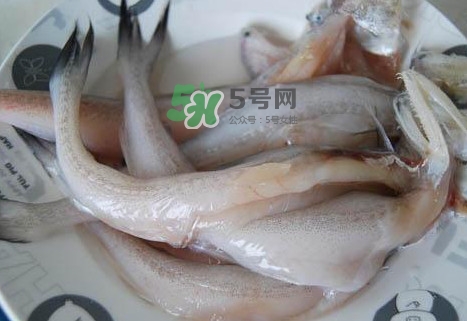 龍頭魚怎么殺？龍頭魚怎么處理？