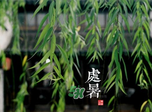 2017處暑還熱嗎？2017處暑后天氣還熱嗎？