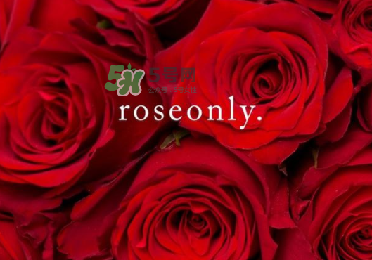 2017七夕禮盒roseonly多少錢？roseonly巨型玫瑰禮盒多少錢？