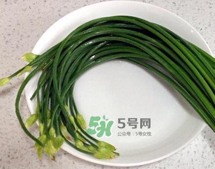 吃韭菜苔回奶嗎？韭菜苔和蒜苗是一回事嗎