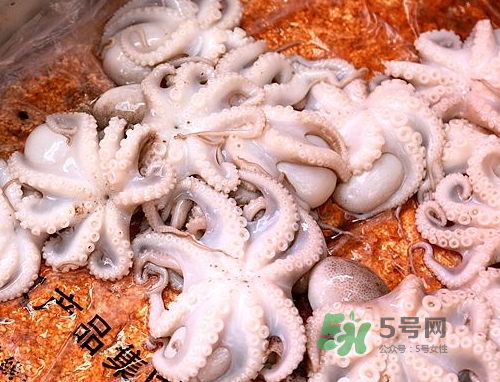 八爪魚可以冷凍嗎？八爪魚可以放冰箱嗎？