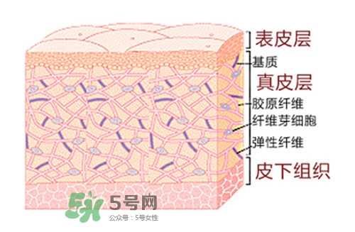 毛孔粗大用什么護(hù)膚品 毛孔粗大原因及對策