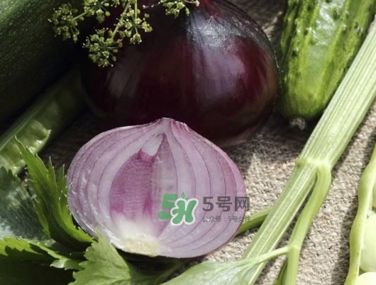 皮芽子發(fā)芽了可以吃嗎？新疆人為什么都愛吃皮芽子